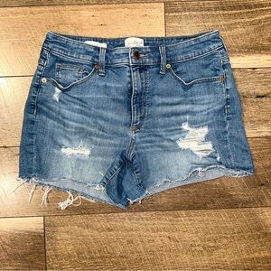 Universal Thread Distressed Denim Shorts